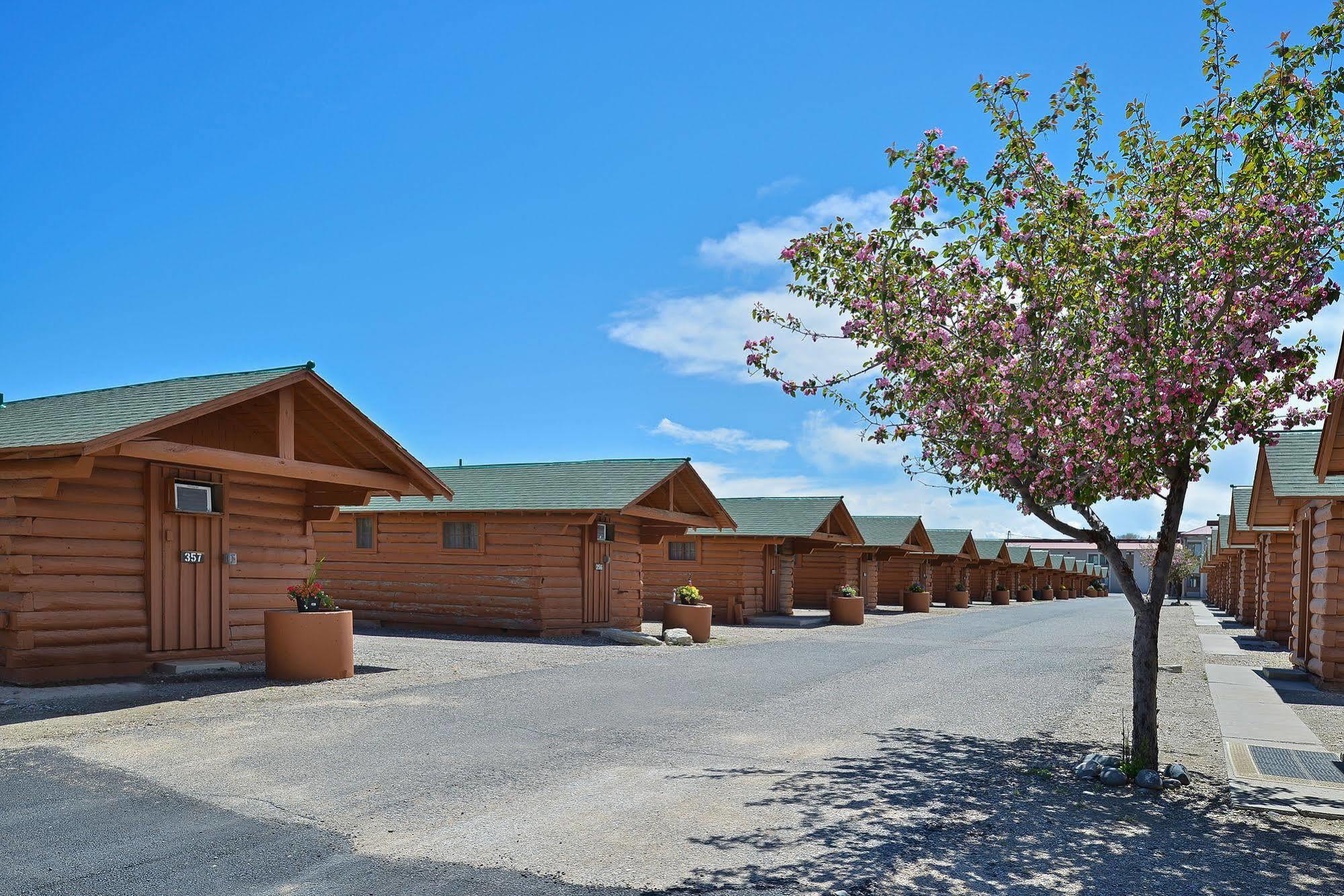 Buffalo Bill Cabin Village Cody Zewnętrze zdjęcie